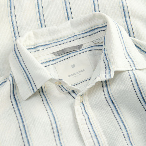 Camicia Garzata Rigata Puro Cotone REGENT-DOBBY Uomo J&J